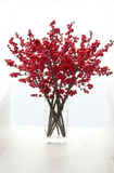 Ilex twigs