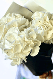 White hydrangeas