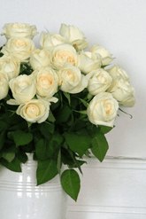 Pastelinių Rožių Mix'as