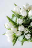 White tulips