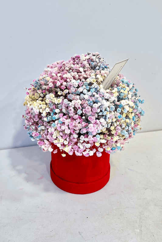 Gubojos gėlių dėžutė "Bubble gum"