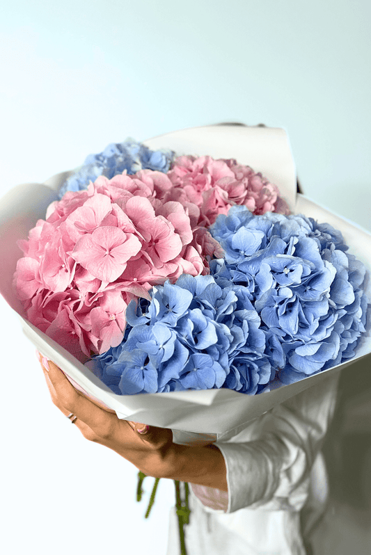 Rožinės/Mėlynos Hortenzijos