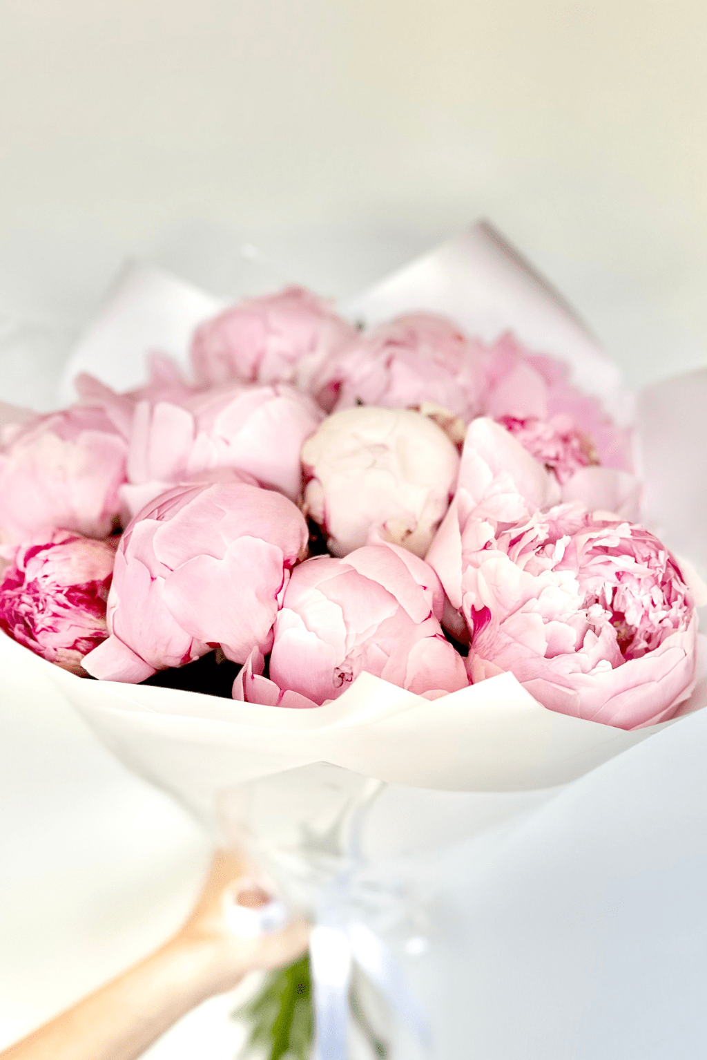 Bijunai 2