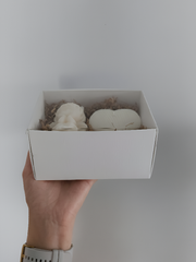 Žvakių dėžutė „Meilės Angelas”