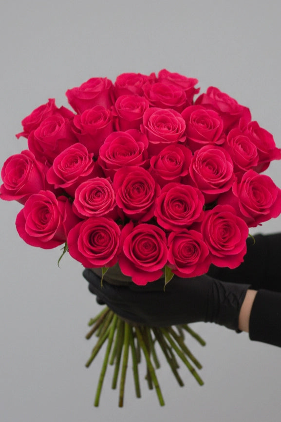 Ryškiai rožinės Pink Floyd rožės