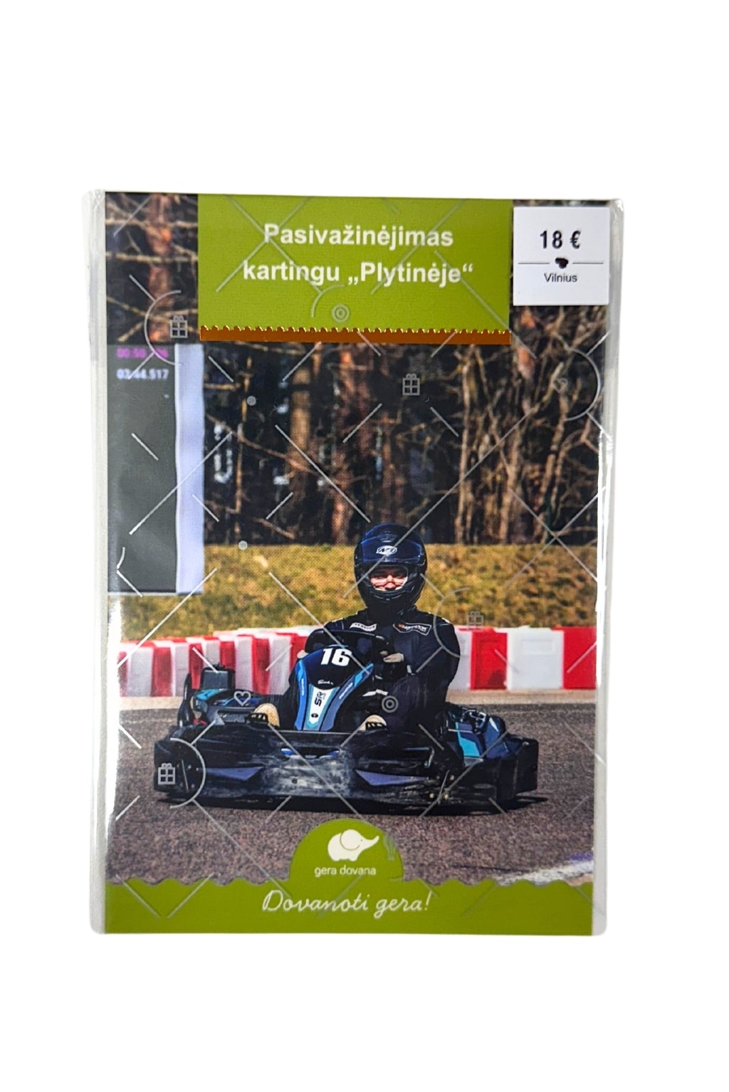 Pasivažinėjimas kartingu „Plytinėje"