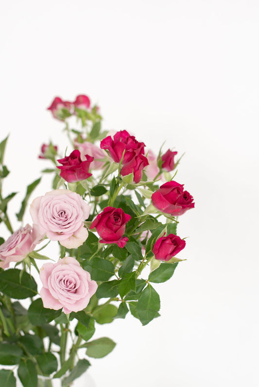 Smulkiažiedžių rožių puokštė | Pink Ocean Gėlės